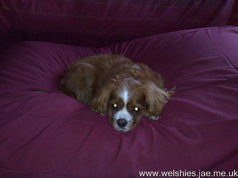 2010-01-16 25.jpg